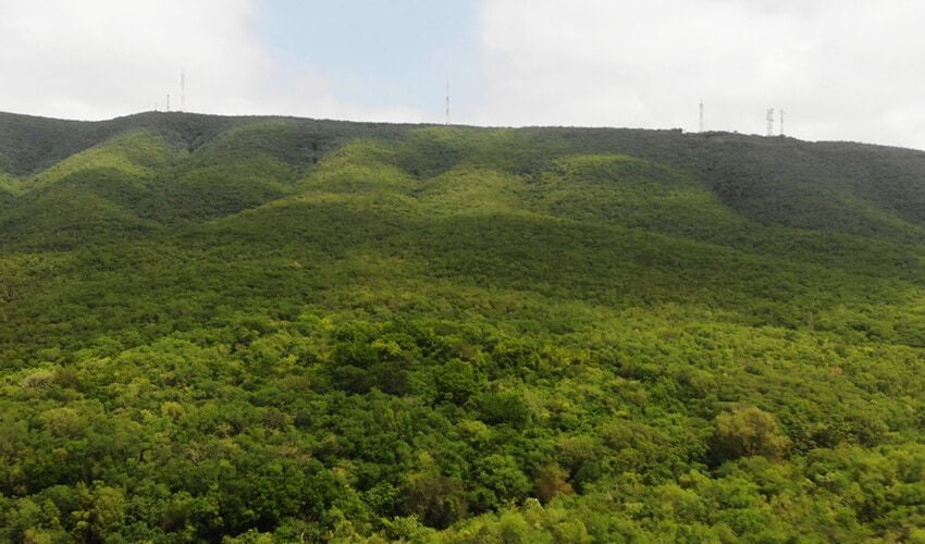 cerro-sanantonio-850×500-01