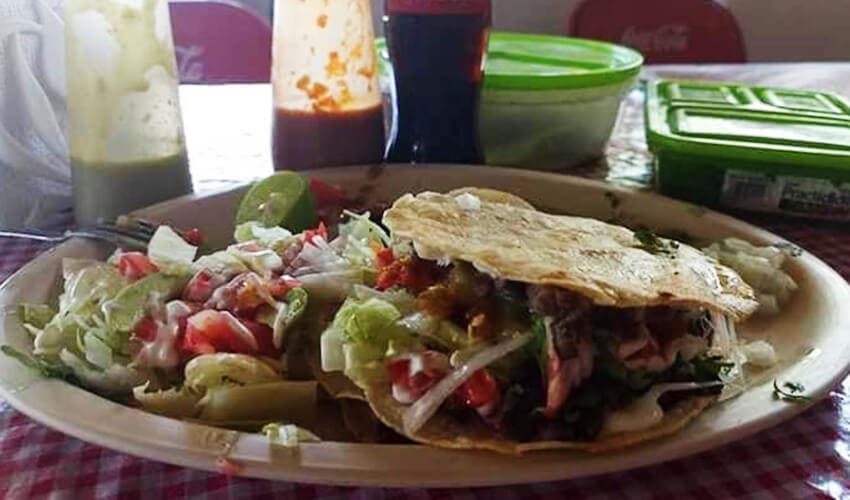 gastronomia-850×500-06