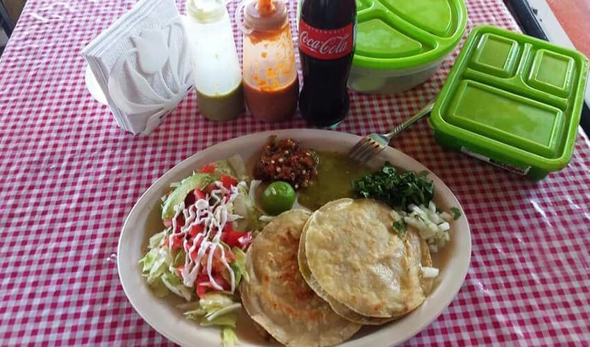 gastronomia-850×500-07