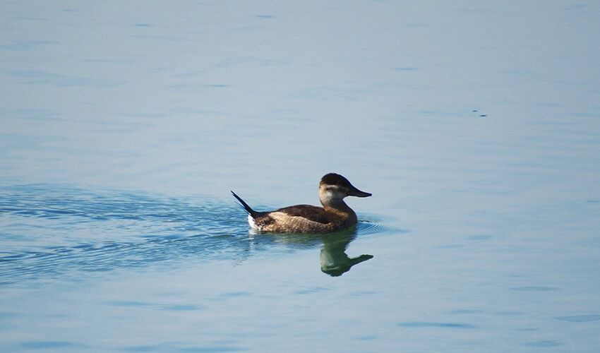 presa-magdalenoaguilar-850×500-04