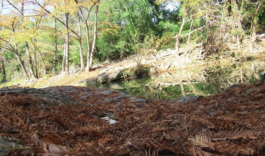 rio-villagran-850×500-01